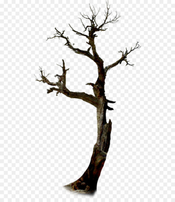 Twig Tree Halloween Branch - tree Twig Tree Halloween Branch - tree