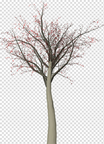 Twig Tree Leaf, tree transparent background PNG clipart