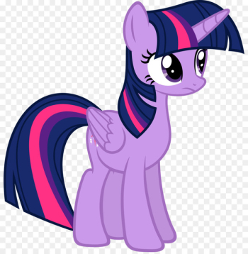 Twilight Sparkle Pinkie Pie Rainbow Dash Pony Rarity - youtube 