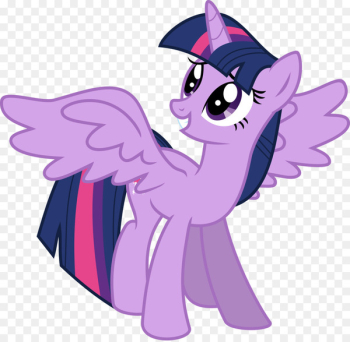 Twilight Sparkle Pony Princess Cadance Winged unicorn Magical Mystery Cure - sparkles 