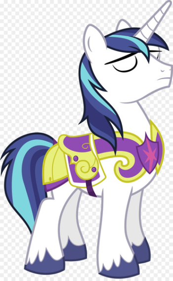 Twilight Sparkle Princess Cadance Rainbow Dash Spike Shining Armor - shinning 