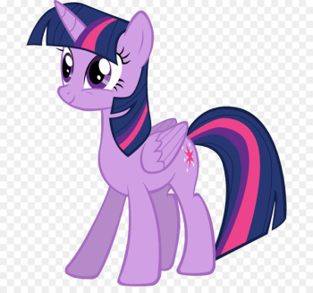 Twilight Sparkle Rainbow Dash Pony Princess Cadance Princess Celestia - My little pony 