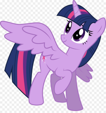 Twilight Sparkle Rarity Princess Celestia Rainbow Dash Pony - My little pony 