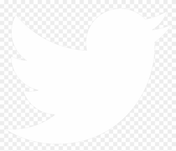 Twitter Logo White Vector