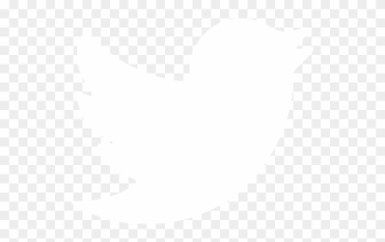 Twitter Youtube - Transparent White Twitter Logo