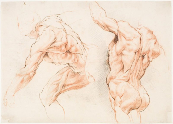 Two anatomical studies of a man | Free Photo - rawpixel Two anatomical studies of a man | Free Photo - rawpixel