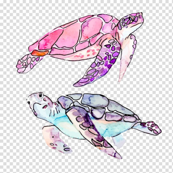Two assorted-color turtle illustrations, Sea turtle Cartoon Illustration, Drawing Turtle transparent background PNG clipart