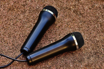 Two Black Dynamic Microphones