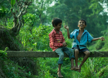 Two Boys Sitting on Gray Wood Plank