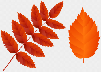 Two Dark Orange Fall Leaves PNG Clip Art Image | Gallery ...