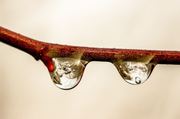 Two Droplets Two Droplets