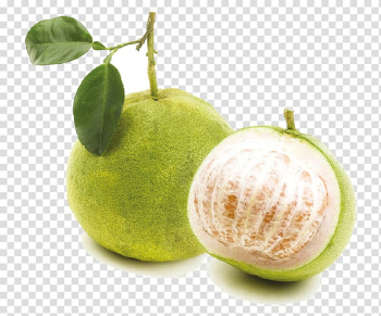 Two green citrus fruits, Pomelo Grapefruit Fruit tree Peel, pomelo transparent background PNG clipart