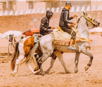 Two Horseman Riding on Horses Two Horseman Riding on Horses