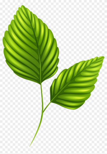Two Leaves Clipart - Leaves Png