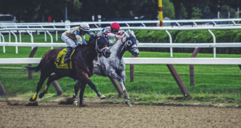 two man riding horse while racing two man riding horse while racing