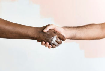 two people handshaking two people handshaking