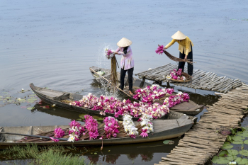 Two People Holding Flowers Two People Holding Flowers
