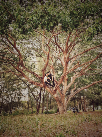 Two People Standing on Tree Two People Standing on Tree