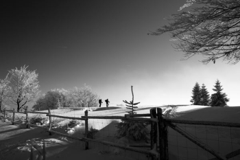 two person walking on snow two person walking on snow
