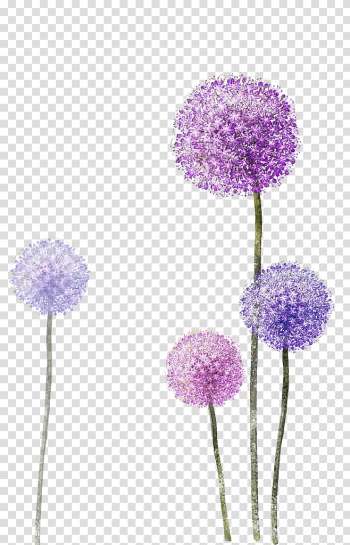 Two purple and pink single-stalk dandelions , OPPO F3 Dandelion, Dandelion background transparent background PNG clipart