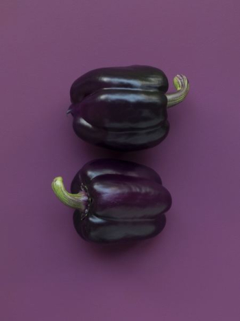 two purple bell peppers on purple surface two purple bell peppers on purple surface