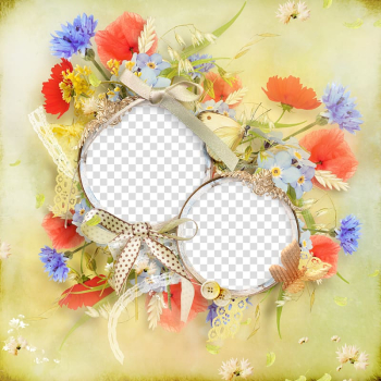 Two round mirrors with flowers illustration, Circle frame , Squid ring frame transparent background PNG clipart