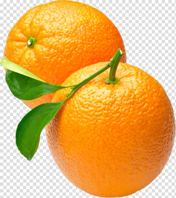 Two round orange fruits, Orange , Orange , free transparent background PNG clipart Two round orange fruits, Orange , Orange , free transparent background PNG clipart