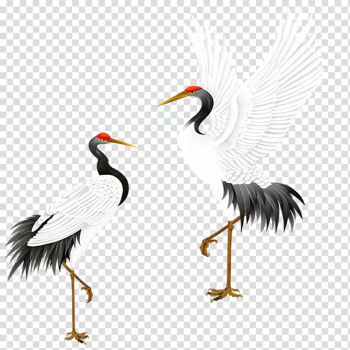 Two white-and-black birds art illustration, Red-crowned crane Bird Grey crowned crane, White Crane transparent background PNG clipart