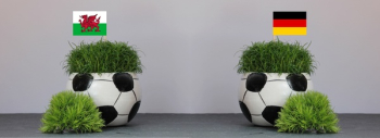 Two White and Black Soccer Ball Pots