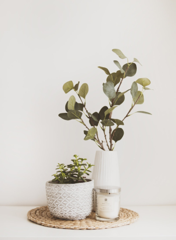 Two White Flower Vases Two White Flower Vases