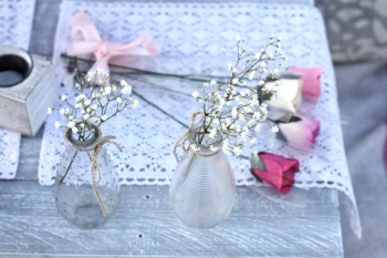 Two White Petaled Flowers With Glass Vases