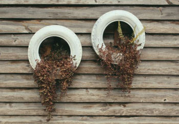 two white tires with dried leafs two white tires with dried leafs