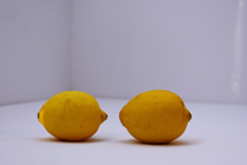 Two Yellow Lemons on White Surface Two Yellow Lemons on White Surface