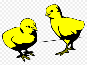 Two, Young, Cartoon, Chicken, Colored, Chick - Cartoon Baby Chicks Gif