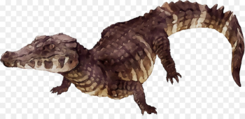 Tyrannosaurus Crocodile Velociraptor Fauna Terrestrial animal -  