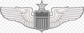 U.S. Air Force aeronautical rating 0506147919 United States Aviator Badge Badges of the United States Air Force - wings material 