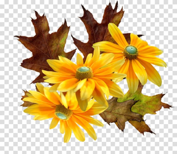 U300au4e16u754cu7f8eu8853u540du4f5cu4e8cu5341u8b1bu300bu624bu7a3f Music Flower , Yellow chrysanthemum transparent background PNG clipart