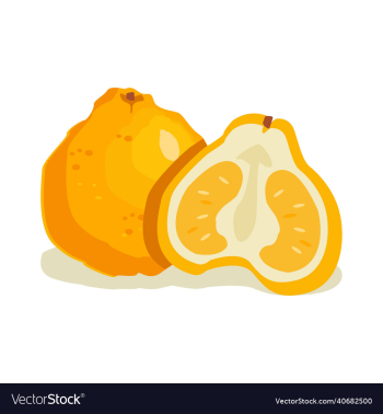 ugli fruit ugli fruit