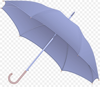 umbrella leaf fashion accessory umbrella leaf fashion accessory