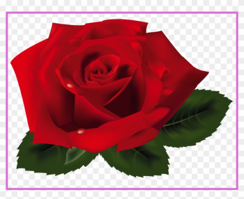 Unbelievable Red Rose Png Clipart Flowers And Image - Rose Png