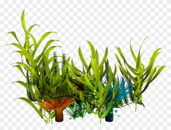 Underwater Aquatic Plants Seaweed Clip Art - Sea Plants Png Transparent