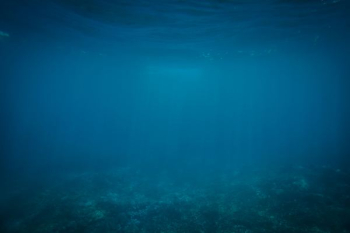 underwater photography underwater photography