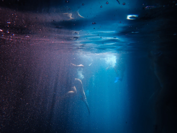 Underwater Photography Underwater Photography