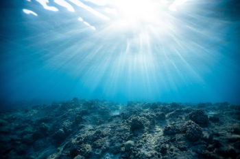 Underwater Photography of Ocean Underwater Photography of Ocean
