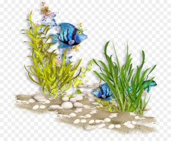 Underwater Sea World Ocean Coral reef - sea Underwater Sea World Ocean Coral reef - sea