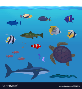 underwater tropical fishes shark sea turtle underwater tropical fishes shark sea turtle