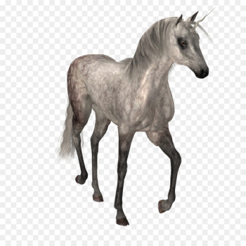 Unicorn Clip art - unicorn 