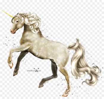 Unicorn Drawing - unicorn Unicorn Drawing - unicorn