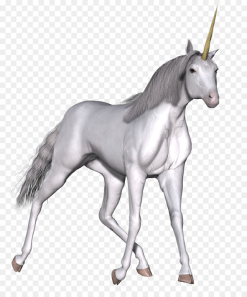 Unicorn Fairy tale Horse Clip art - unicorn Unicorn Fairy tale Horse Clip art - unicorn