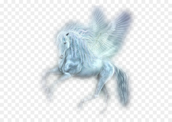 Unicorn Flying horses Pegasus - unicorn 
